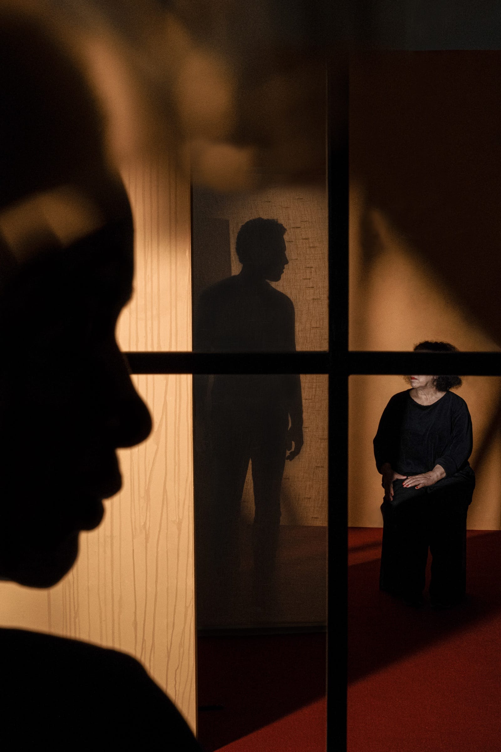 A silhouetted profile fills the left of the frame; beyond a dark window grid, a figure stands behind a screen and a woman waits in warm light.